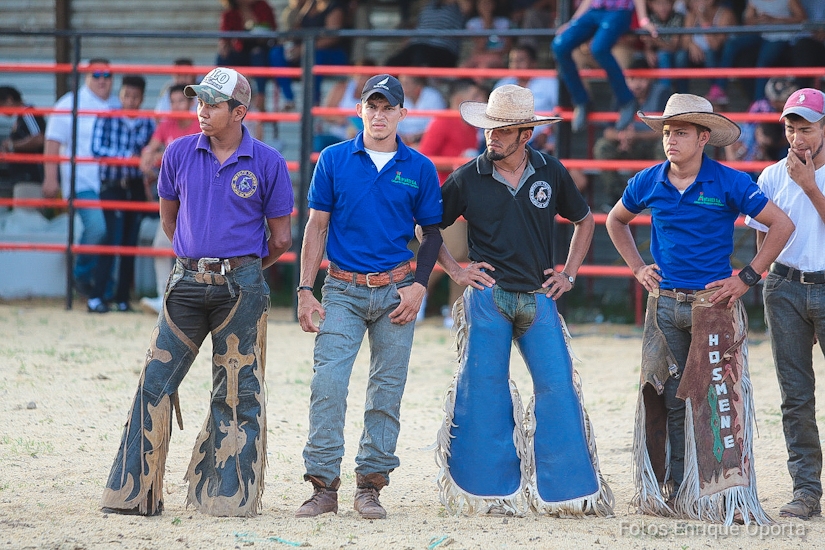 TOROS